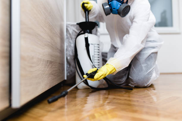 Best Insect Control  in Manitowoc, WI
