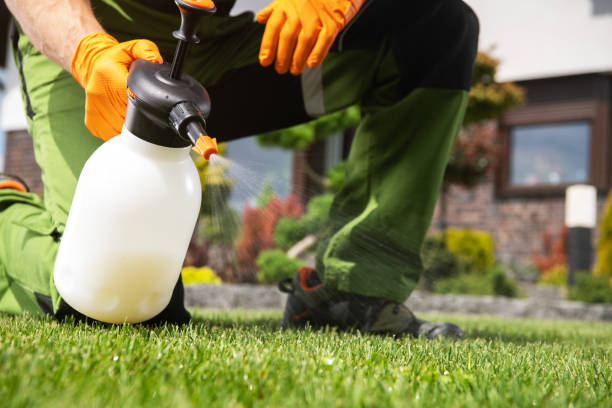 Best Best Pest Control Companies  in Manitowoc, WI