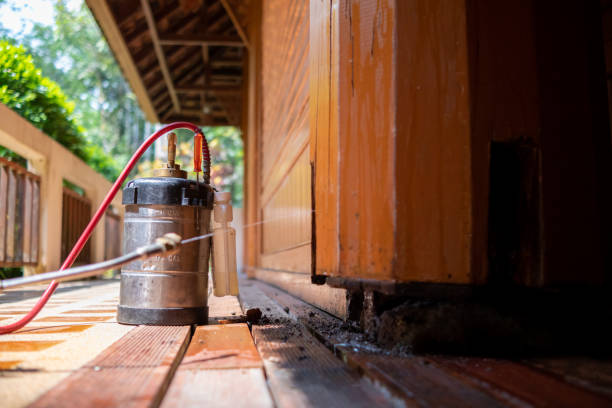 Best Cockroach Control Services  in Manitowoc, WI