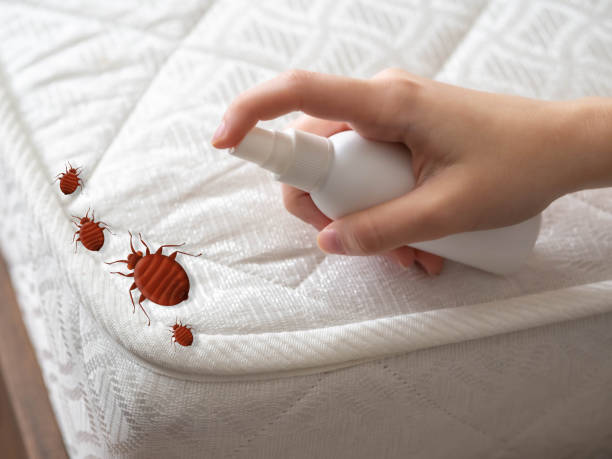 Best Pest Inspection Near Me  in Manitowoc, WI