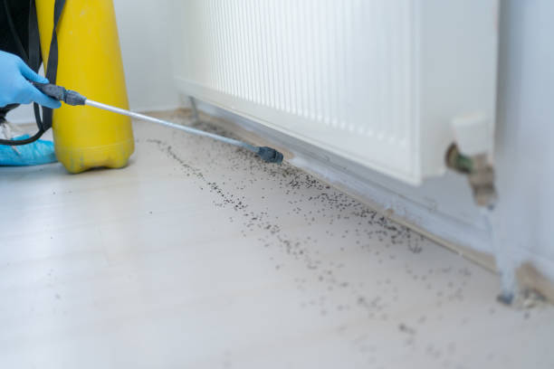 Professional Pest Control in Manitowoc, WI