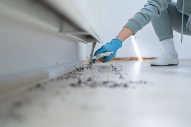 Best Exterminator Services  in Manitowoc, WI